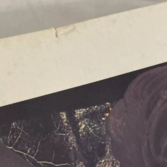 Beethoven The Pastoral Sixth Symphony (Vinyl, 1976) RCA Custom FW-301 VG+ - Picture 6 of 10